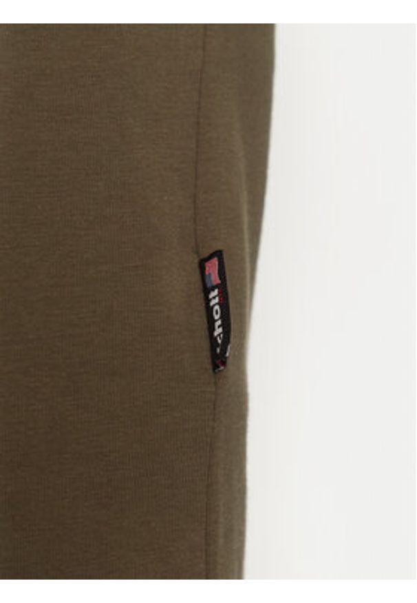 SCHOTT N.Y.C. T-Shirt TSCLAWS1 Khaki Regular Fit. Kolor: brązowy. Materiał: bawełna