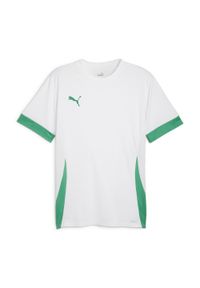 Koszulka męska Puma teamGoal Matchday Jersey biało-zielona 705747 15 ROZMIAR L. Kolor: zielony. Materiał: jersey. Sport: piłka nożna #1