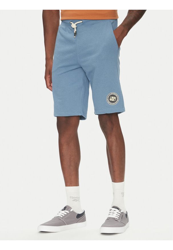 Quiksilver Szorty sportowe Circle Back EQYFB03395 Niebieski Regular Fit. Kolor: niebieski. Materiał: bawełna. Styl: sportowy