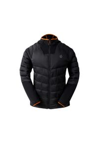 DARE 2B - Kurtka puchowa Dare 2B Torrek Flex. Kolor: czarny. Materiał: puch. Styl: sportowy. Sport: turystyka piesza #1