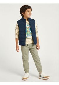 Sinsay - Spodnie joggery slim z twillu o miękkim wykończeniu - zielony. Kolor: zielony #1