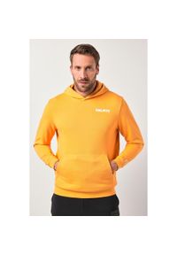 JAY-PI - Męska Bluza z kapturem fitness kaptur do rozm. 7XL. Typ kołnierza: kaptur. Kolekcja: plus size. Kolor: pomarańczowy, wielokolorowy, żółty. Materiał: materiał, poliester, bawełna. Sport: fitness
