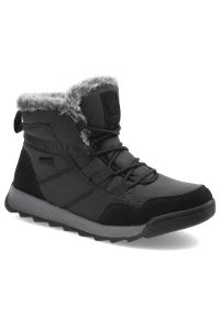 Czarne Śniegowce Cross Jeans Ocieplane Buty Damskie. Okazja: na spacer. Kolor: czarny. Materiał: futro, skóra ekologiczna, syntetyk. Szerokość cholewki: normalna. Sezon: zima