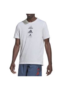 Adidas - Koszulka adidas Designed To Move Logo HM4799 - biała. Kolor: biały. Materiał: materiał, dresówka, poliester, elastan. Długość rękawa: krótki rękaw. Długość: krótkie. Sport: fitness