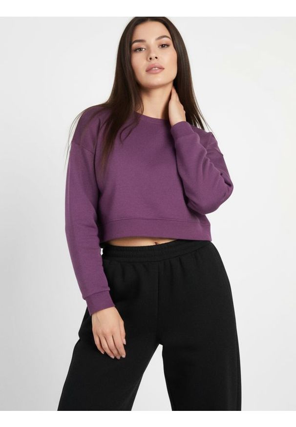 Sinsay - Gładka bluza crewneck - fioletowy. Kolor: fioletowy. Wzór: gładki