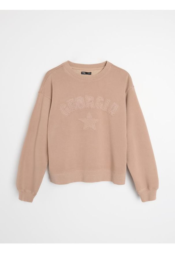 Sinsay - Bluza crewneck w stylu akademickim - brązowy. Kolor: brązowy