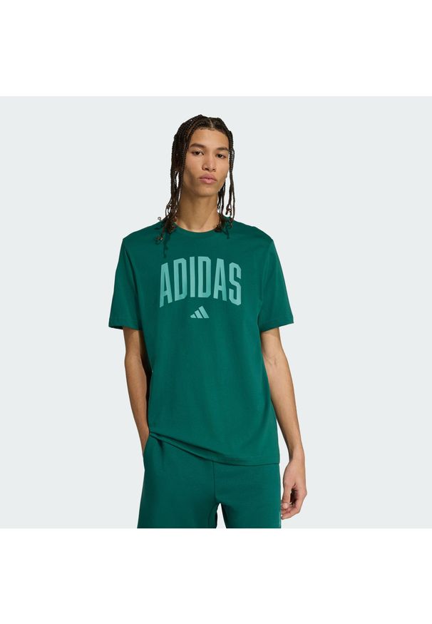 Adidas - Koszulka Collegiate Lineage z grafiką. Kolor: zielony. Materiał: bawełna. Sport: fitness