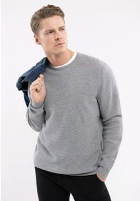 Volcano - Bawełniany sweter S-BRADY. Kolor: szary. Materiał: bawełna. Wzór: aplikacja. Styl: klasyczny