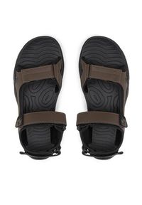 Jack Wolfskin Sandały Lakewood Cruise Sandal M 4019011 Brązowy. Kolor: brązowy. Materiał: skóra