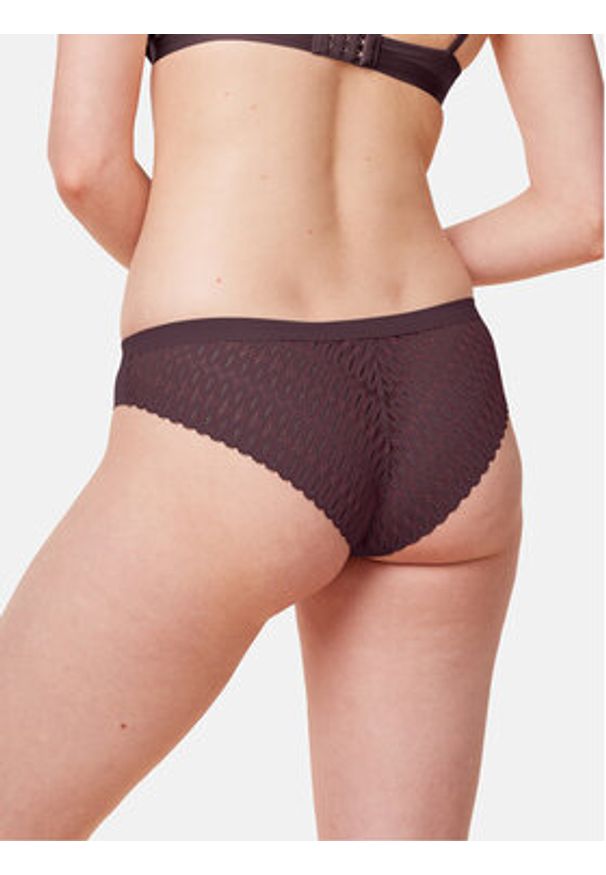 Triumph Figi brazylijskie Aura Spotlight T Brazilian 10216453 Fioletowy. Kolor: fioletowy. Materiał: syntetyk