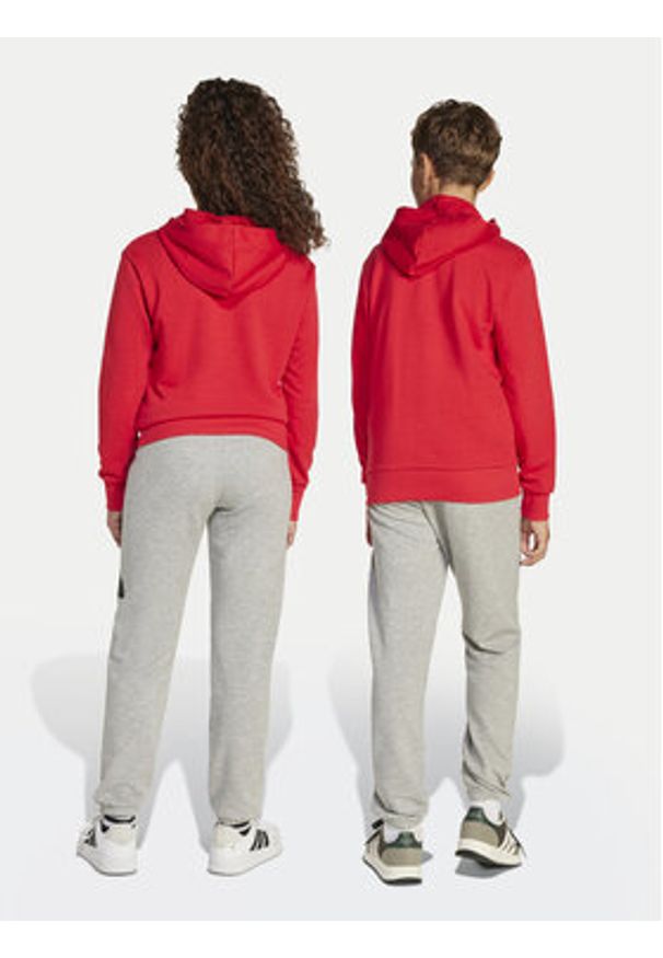 Adidas - adidas Spodnie dresowe Essentials JD2092 Szary Regular Fit. Kolor: szary. Materiał: bawełna