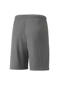 Szorty Puma Teamliga 13 Szorty Dorosłych. Kolor: wielokolorowy, szary, biały. Materiał: poliester, materiał, syntetyk. Sport: fitness #2