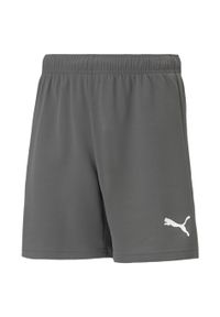 Puma - Spodenki TeamRISE Dla Dzieci. Kolor: szary
