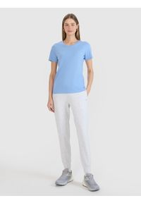 4f - 4F Spodnie dresowe joggery damskie - szare XS. Kolor: szary. Materiał: dresówka. Wzór: gładki, ze splotem #1