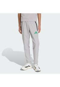 Adidas - Spodnie Algieria Tiro Tech. Kolor: szary. Sport: piłka nożna #1
