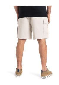 Quiksilver - Szorty spacerowe dla Mężczyzn TAXER 19" Szary. Kolor: szary. Materiał: tkanina, elastan, poliester, bawełna. Długość: krótkie. Sezon: lato