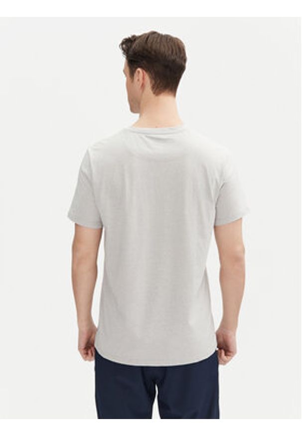 Aulp T-Shirt Roque Szary Regular Fit. Kolor: szary. Materiał: syntetyk, bawełna