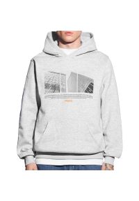 Bluza Prosto Klasyk Hoodie Zitty KL242MSWE2101 - szara. Okazja: na co dzień, na spacer. Typ kołnierza: kaptur. Kolor: szary. Materiał: poliester, dresówka, materiał, bawełna, wiskoza. Wzór: aplikacja. Styl: klasyczny, casual. Sport: turystyka piesza