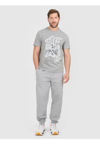 4f - 4F T-shirt regular z nadrukiem męski - szary M. Okazja: na co dzień. Kolor: szary. Materiał: materiał, dzianina, bawełna. Wzór: nadruk. Styl: casual #2