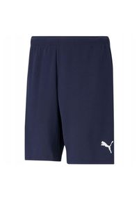 Puma - Męskie Spodenki TeamRISE. Kolor: niebieski. Sport: turystyka piesza