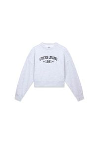 Guess Jeans Bluza 180726 Szary Classic Fit. Kolor: szary #4