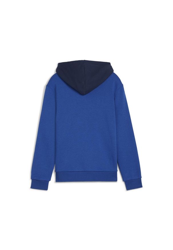 Bluza sportowa dla dzieci Puma Power Graphic Tr. Kolor: niebieski