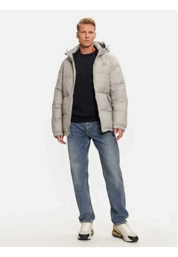 Dickies Kurtka przejściowa Waldenburg Hooded DK0A4YEYD06 Szary Regular Fit. Kolor: szary. Materiał: syntetyk