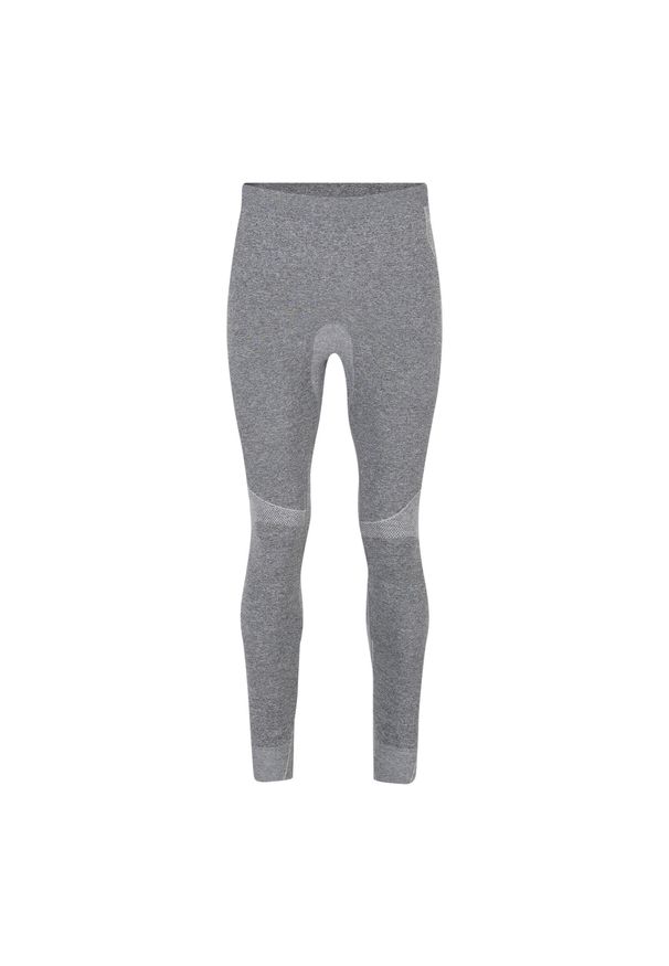 DARE 2B - Legginsy Męskie In The Zone III. Kolor: szary, wielokolorowy, brązowy. Sport: turystyka piesza