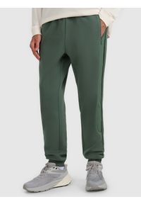 4f - 4F Spodnie dresowe joggery męskie - oliwkowe/khaki L. Kolor: brązowy, wielokolorowy, oliwkowy. Materiał: dresówka