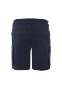 Spodenki turystyczne męskie The North Face M Anticline Cargo Short. Kolor: niebieski