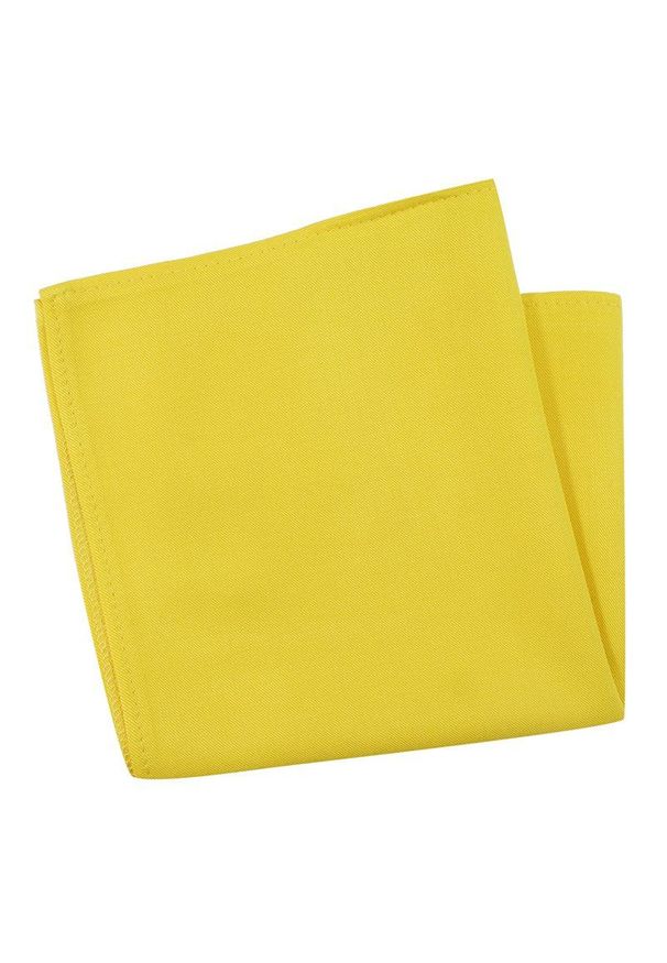 Poszetka EM Men's Accessories