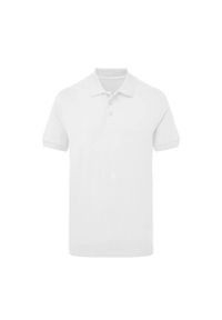 SG - Męska Koszulka Polo Signature Stretch Bez Metki. Typ kołnierza: polo. Kolor: biały #1