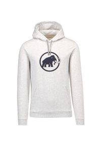 Mammut - Bluza MAMMUT LOGO. Okazja: na co dzień. Materiał: bawełna. Wzór: nadruk, napisy. Styl: casual #1