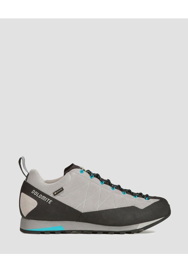 Buty trekkingowe damskie Dolomite Crodarossa Low GTX 2.0. Kolor: szary, niebieski, wielokolorowy. Styl: sportowy