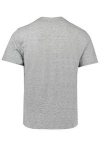 Męska Koszulka (T-Shirt) - Pako Jeans - Popiel, Motyw Rowerowy. Okazja: na co dzień. Materiał: wiskoza, bawełna. Wzór: nadruk. Styl: casual #5