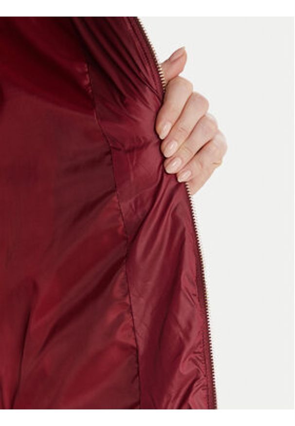 Artigli Kurtka zimowa ACPM002931 Bordowy Regular Fit. Kolor: czerwony. Materiał: syntetyk. Sezon: zima