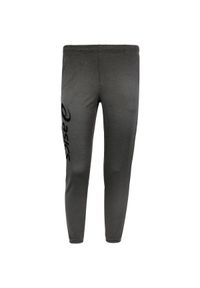 Spodnie do biegania Asics Sigma. Kolor: szary. Materiał: materiał. Długość: długie. Sport: fitness #1