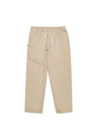 Spodnie męskie Element Chiilin Twill. Kolor: beżowy. Materiał: bawełna