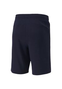 Puma - Shorty Męskie TeamGoal 23. Kolor: niebieski