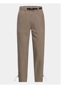 Jack Wolfskin Spodnie outdoor Kiebitzweg Pants 1508471 Brązowy Regular Fit. Kolor: brązowy. Materiał: syntetyk. Sport: outdoor