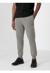 4f - Spodnie dresowe joggery męskie. Kolor: szary. Materiał: dresówka #2