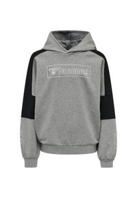 Bluza z kapturem dla dzieci Hummel hmlBOXLINE. Typ kołnierza: kaptur. Kolor: szary. Sport: joga i pilates