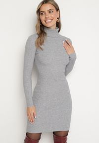 Born2be - Szara Dopasowana Sukienka z Prążkowanej Dzianiny z Golfem Seralinda. Okazja: na co dzień. Typ kołnierza: golf. Kolor: szary. Materiał: prążkowany, dzianina. Długość rękawa: długi rękaw. Styl: wizytowy, klasyczny, casual #3