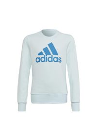 Adidas - Bluza dziewczęca adidas Essentials. Kolor: niebieski. Sport: joga i pilates