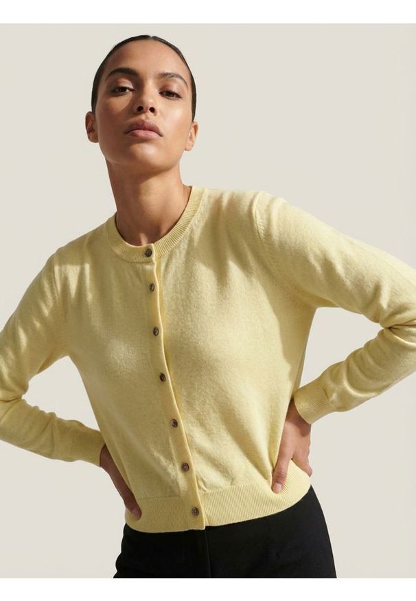 Sinsay - Klasyczny kardigan zapinany na guziki - żółty. Kolor: żółty. Styl: klasyczny