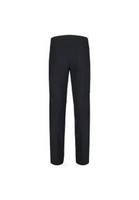 Spodnie tech. męskie Odlo Pants regular length ASCENT. Kolor: czarny. Sezon: lato. Sport: turystyka piesza #2