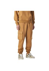 Spodnie męskie Champion Rib Cuff Cargo Pants. Kolor: brązowy, żółty, wielokolorowy