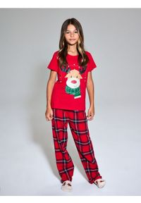 Sinsay - Świąteczna piżama dwuczęściowa z nadrukiem renifera - czerwony. Kolor: czerwony. Wzór: nadruk. Styl: wizytowy #1