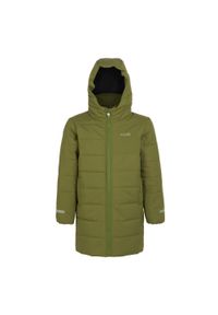 Dziecięca kurtka puchowa Regatta Lakiver. Kolor: zielony. Materiał: puch. Styl: sportowy. Sport: turystyka piesza #1