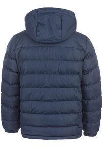Kurtka dziecięca z kapturem Whistler Carseno. Typ kołnierza: kaptur. Kolor: niebieski. Materiał: puch #2